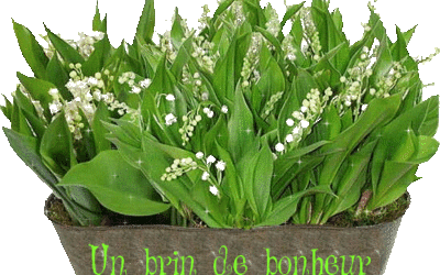 Why do you offer lily of the valley on May 1st ?